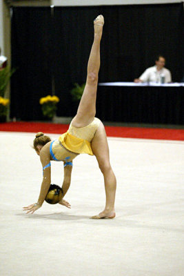 201046_gymnastics.jpg