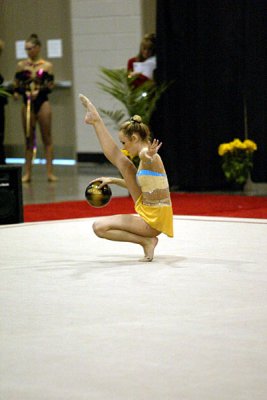201063_gymnastics.jpg