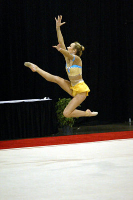 201067_gymnastics.jpg