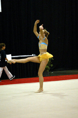 201068_gymnastics.jpg