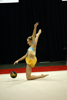 201081_gymnastics.jpg