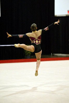 201098_gymnastics.jpg
