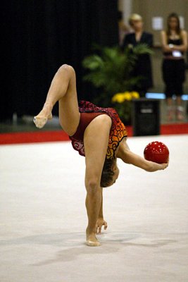 201254_gymnastics.jpg