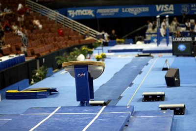 130017ca_gymnastics.jpg