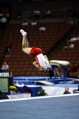 130136ca_gymnastics.jpg