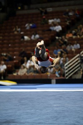 130249ca_gymnastics.jpg
