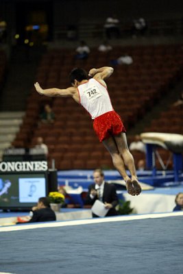 130268ca_gymnastics.jpg