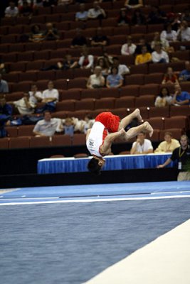 130282ca_gymnastics.jpg