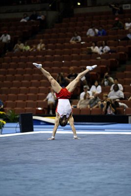 130326ca_gymnastics.jpg
