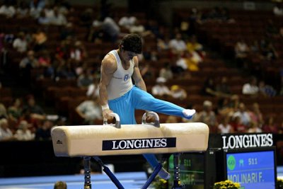 150039ca_gymnastics.jpg