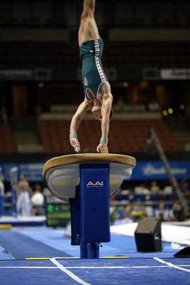 180142ca_gymnastics.jpg