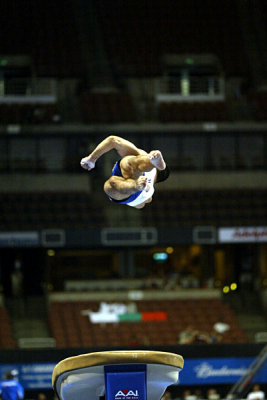 230079ca_gymnastics.jpg