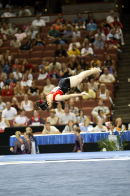 290131ca_gymnastics.jpg