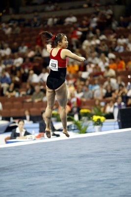 290138ca_gymnastics.jpg