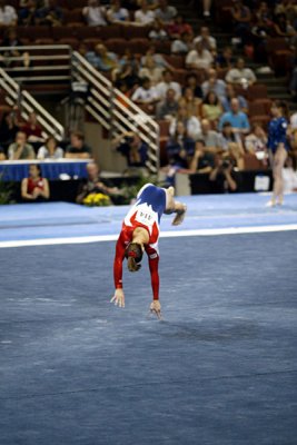 300288ca_gymnastics.jpg