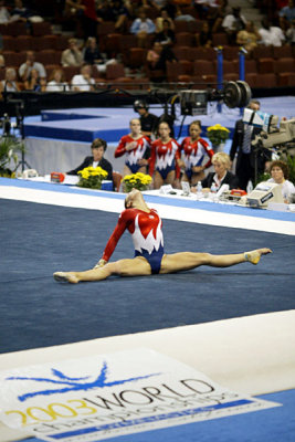 320025ca_gymnastics.jpg