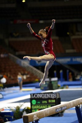 320157ca_gymnastics.jpg