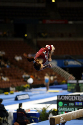 320164ca_gymnastics.jpg