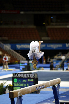 320339ca_gymnastics.jpg