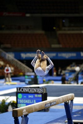 320340ca_gymnastics.jpg