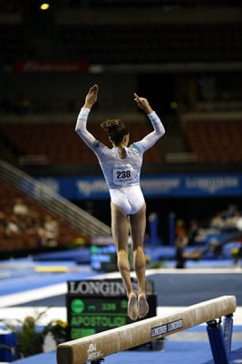 330040ca_gymnastics.jpg