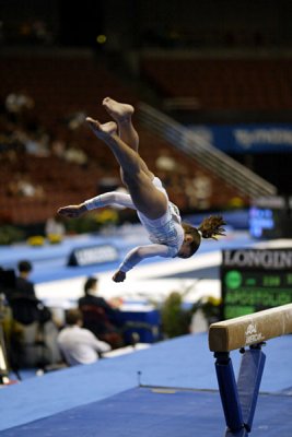 330058ca_gymnastics.jpg