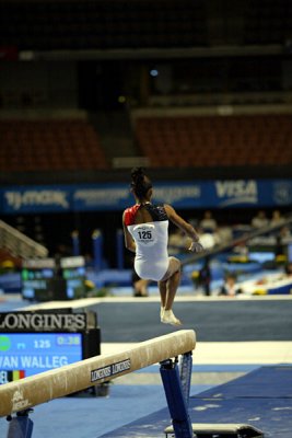 330233ca_gymnastics.jpg