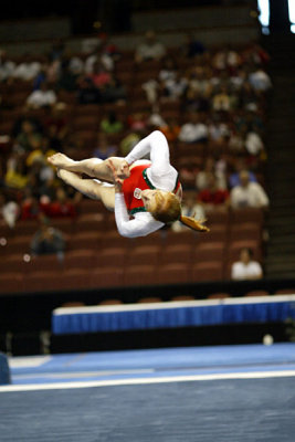 350091ca_gymnastics.jpg