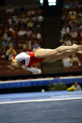 350094ca_gymnastics.jpg