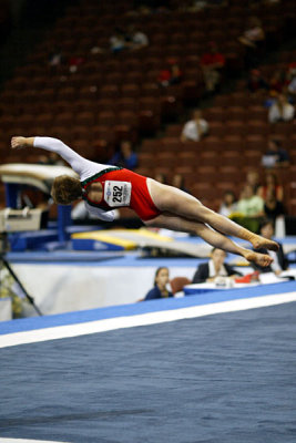 360016ca_gymnastics.jpg