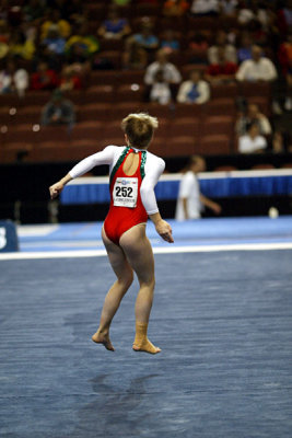 360042ca_gymnastics.jpg