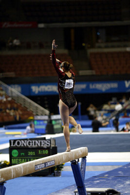 360237ca_gymnastics.jpg