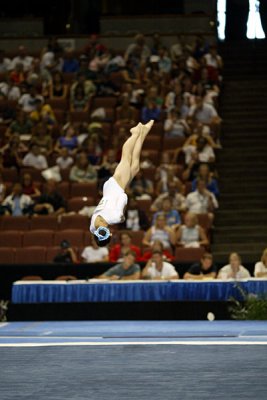 410045ca_gymnastics.jpg