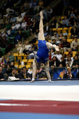 110213va_gymnastics.jpg