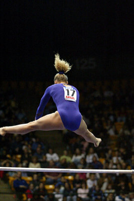 130067va_gymnastics.jpg