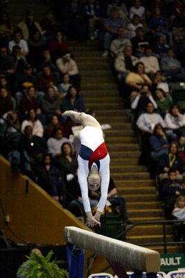 130190va_gymnastics.jpg