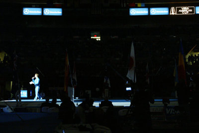 110178ny_gymnastics.jpg