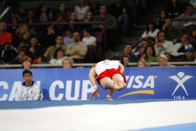 120101ny_gymnastics.jpg