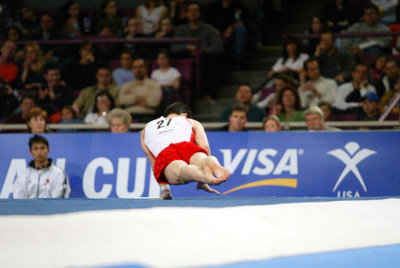 120103ny_gymnastics.jpg