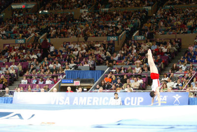 120108ny_gymnastics.jpg