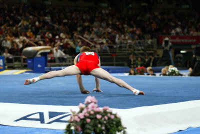 120203ny_gymnastics.jpg