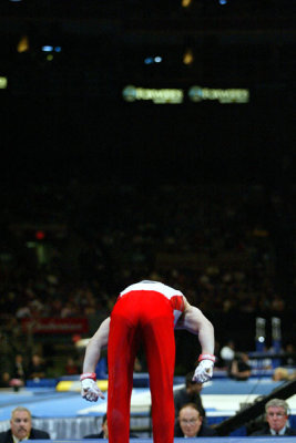 130082ny_gymnastics.jpg