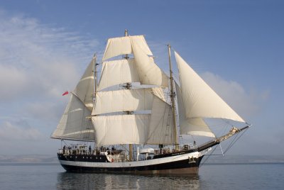 Pelican.JPG