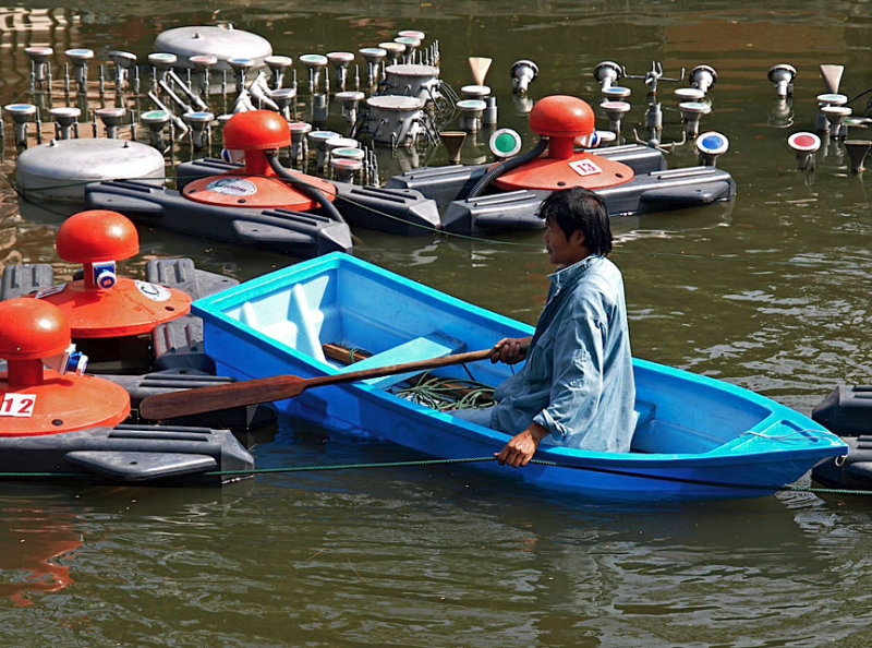 Boat in the moat