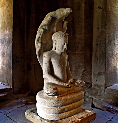 Image of the Buddha under a naga, close up