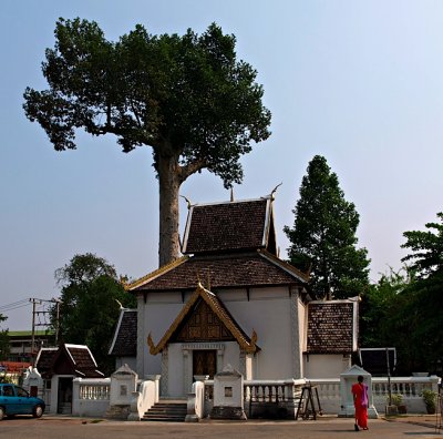 City pillar shrine with gum tree