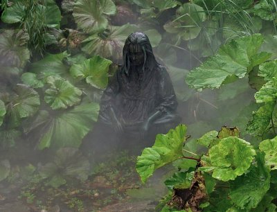 Woman in a mist
