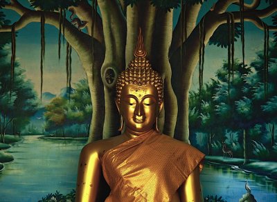 Buddha image with forest background