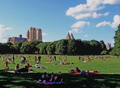 Sheep Meadow