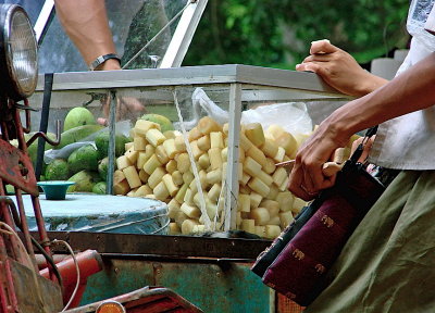 Mango and sugar cane